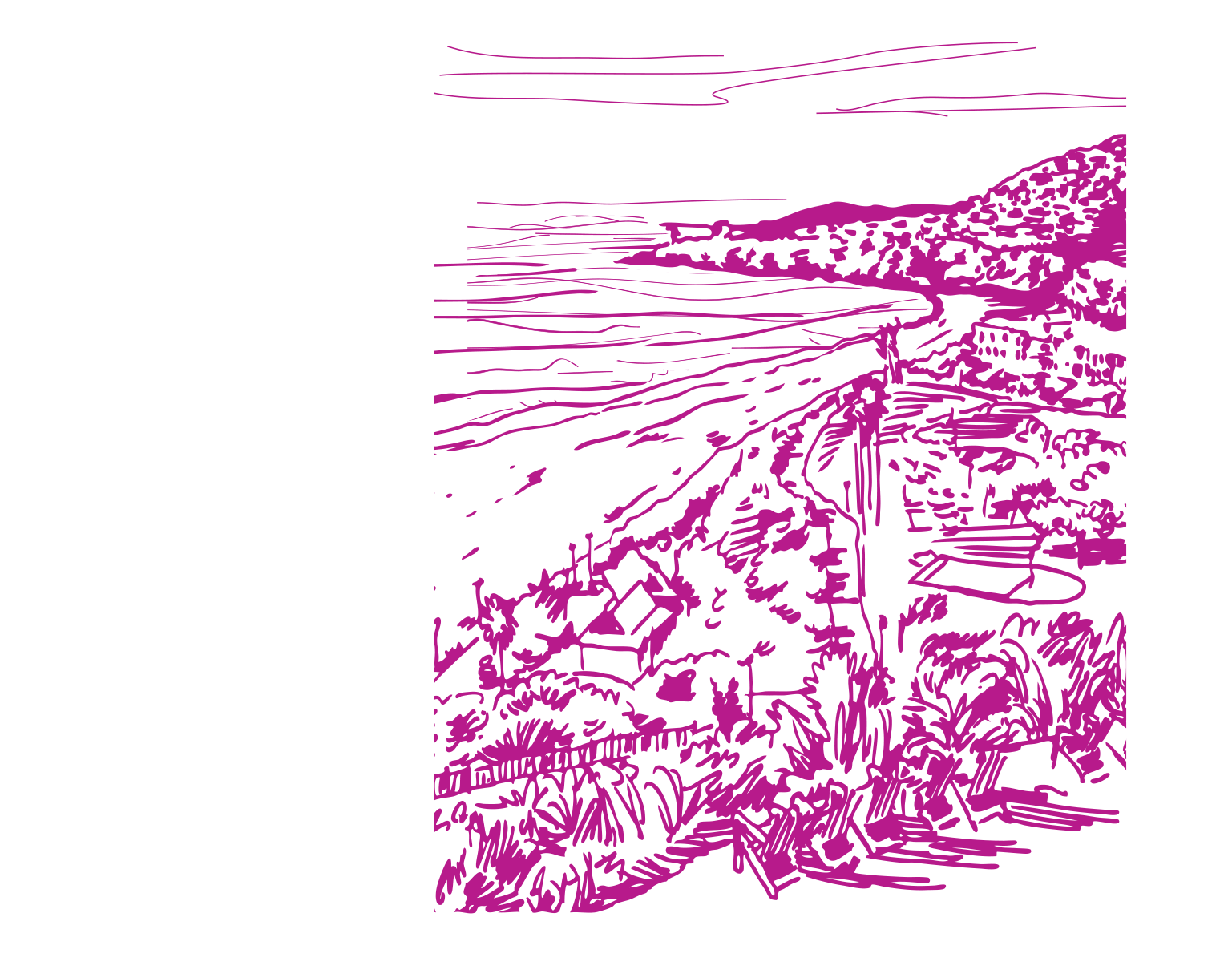 Black Cab Bkgrd Illus_transp.png