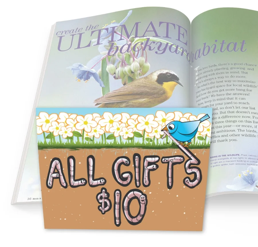 Birds & Blooms Magazine Worm Card