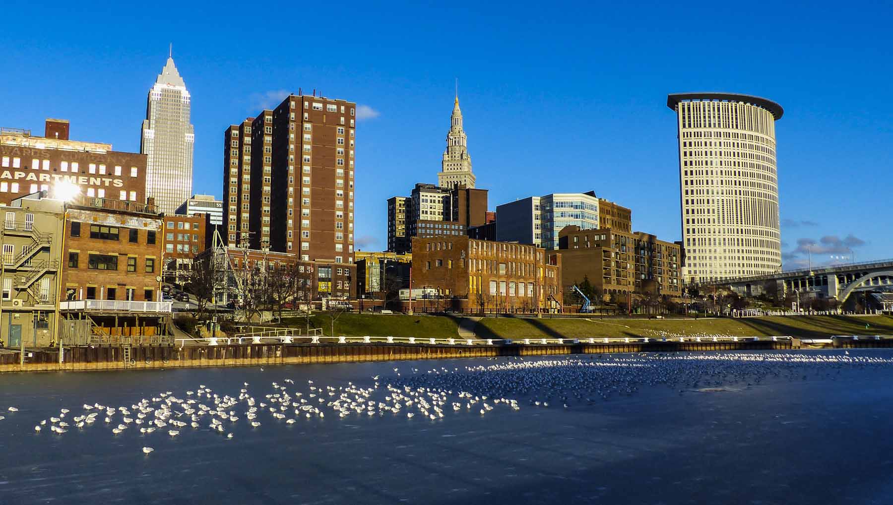 CLE_River Ice_Seagulls (1 of 1).jpg