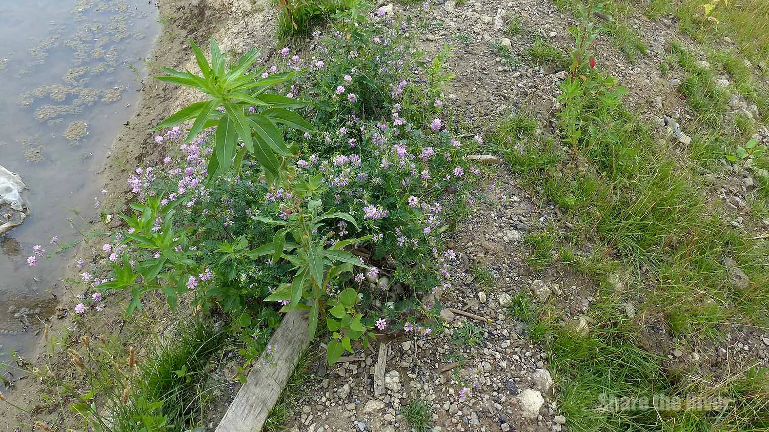 P1270469.JPG