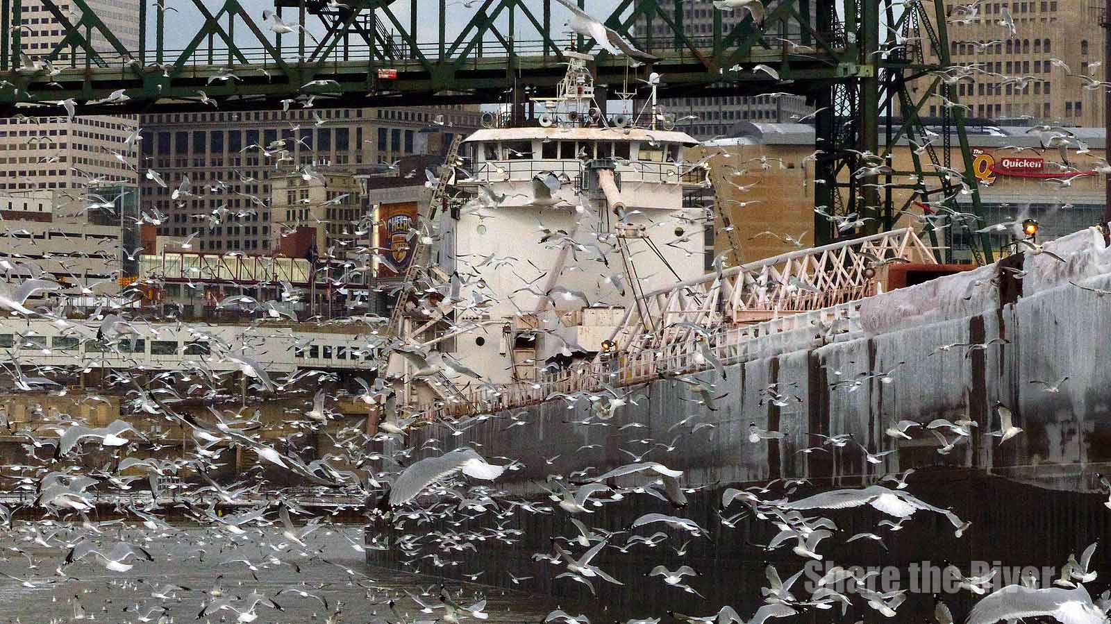 Freighter Gullnado on the Cuyahoga River