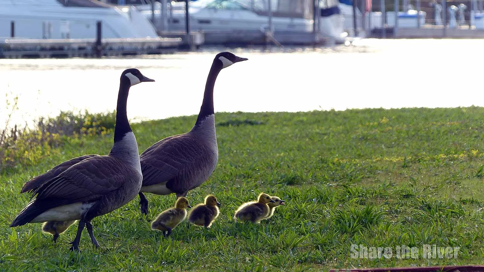 30 Photographs And One Video Of Our Earth Day Stroll along the Cuyahoga River