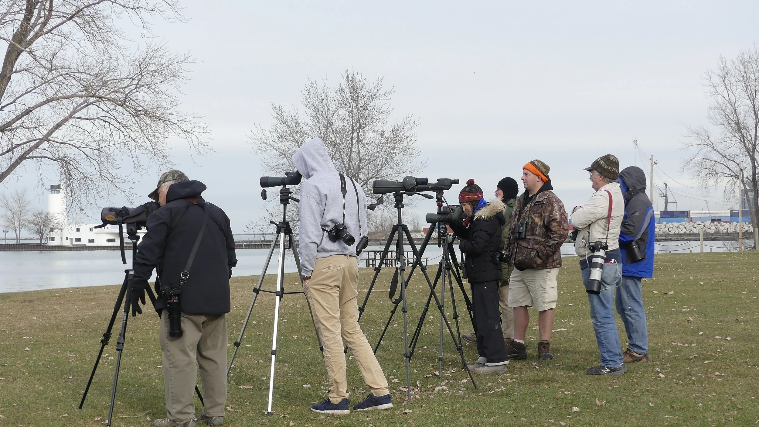Winter Pulls the Curtain Back on Nature