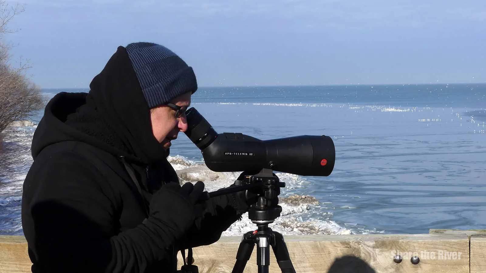 The Lakefront Bird Blitz Chases Off the Polar Vortex