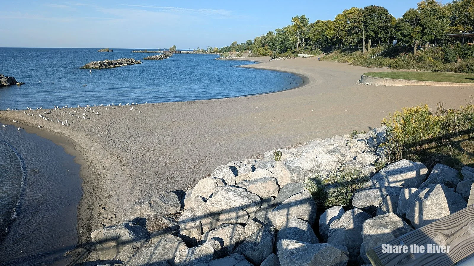 PXL_20261012_204703634.MP.jpg