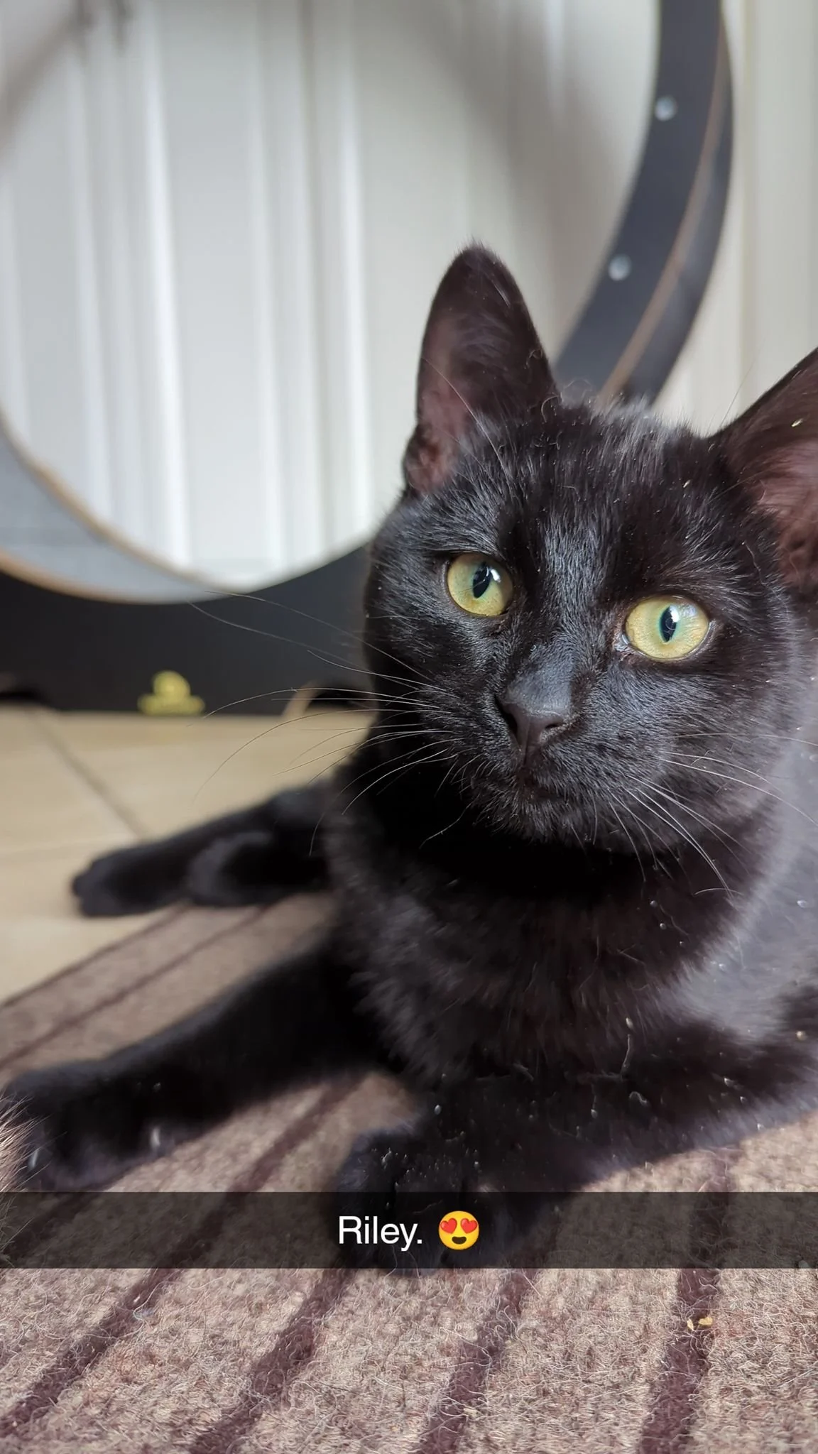 Riley is inside...sometimes. 😍