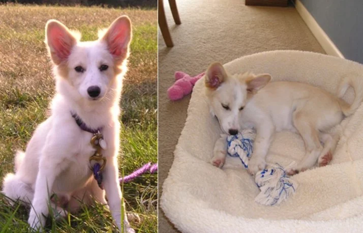 roxy_2012.jpg