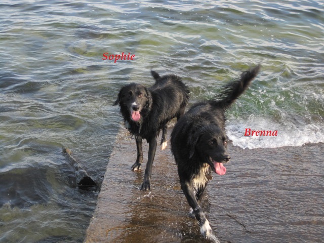 Sophie & Brenna swimming.JPG