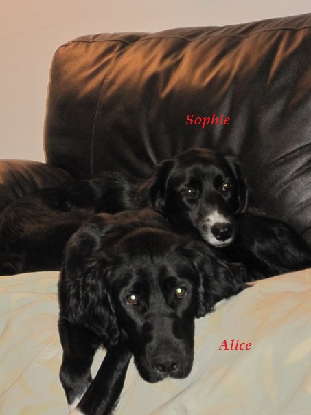 Sophie & foster Alice.jpg