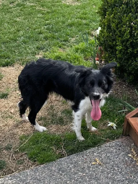 LUNA
