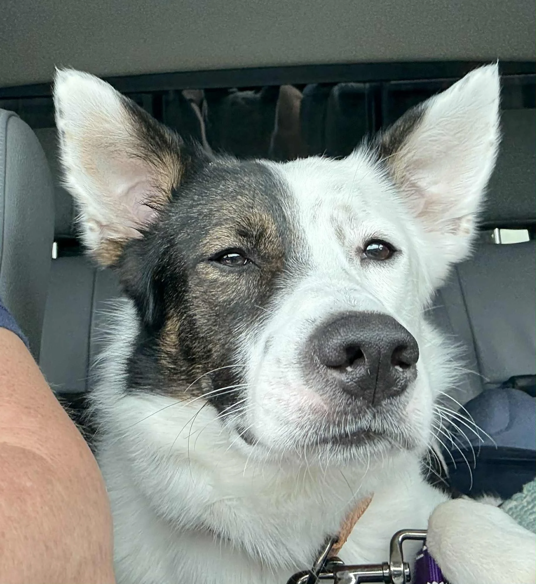 Messenger_creation_D643E6D9-7F6D-46EA-A658-D3C17340DCCF (1).jpeg