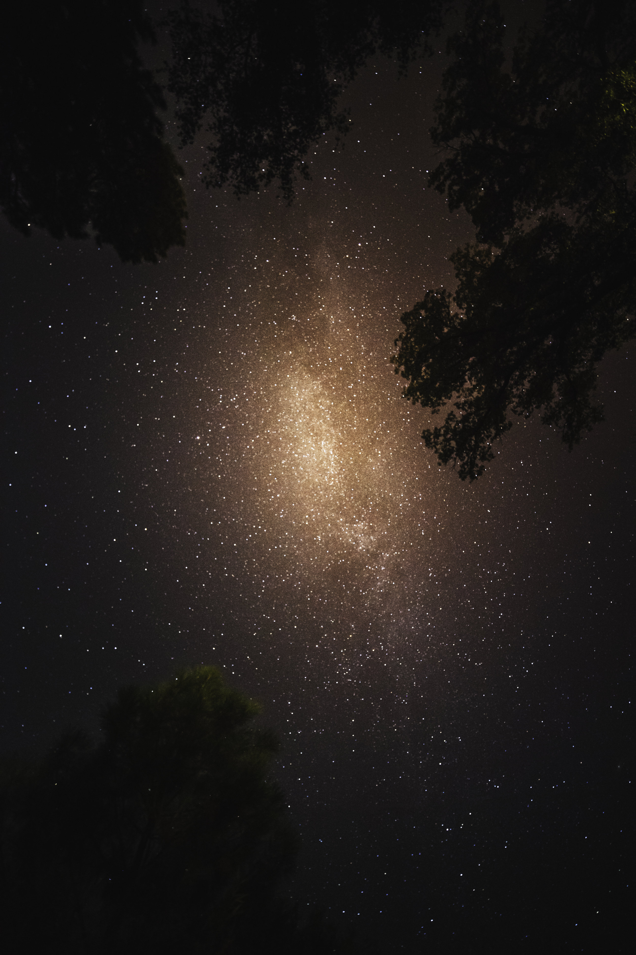 Starry night in Yosemite.jpg
