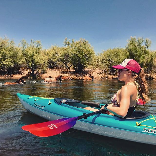 Horse crossing. #saltriver #wildhorses #saltriverhorses #kayak #kayaking #kayakingadventures #eliekayaks #wernerpaddles #wernerpaddle #saltriverkayaking #getoutandkayak #optoutside #riveradventures #azfamily #rei #summeradventures #azkayaking #beatth