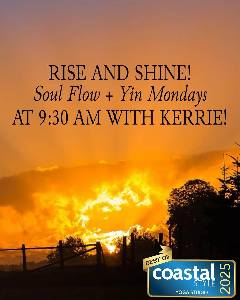 πΏβ¨ NEW CLASS + NEW TIME! β¨πΏ
Start your week with Kerrie and our brand-new Soul Flow + Yin class! π§‍βοΈπ«
π€ Mondays at 9:30 AM
Flow with energy, soften with stillness, and melt into an extended shavasana that will have you floating into your w