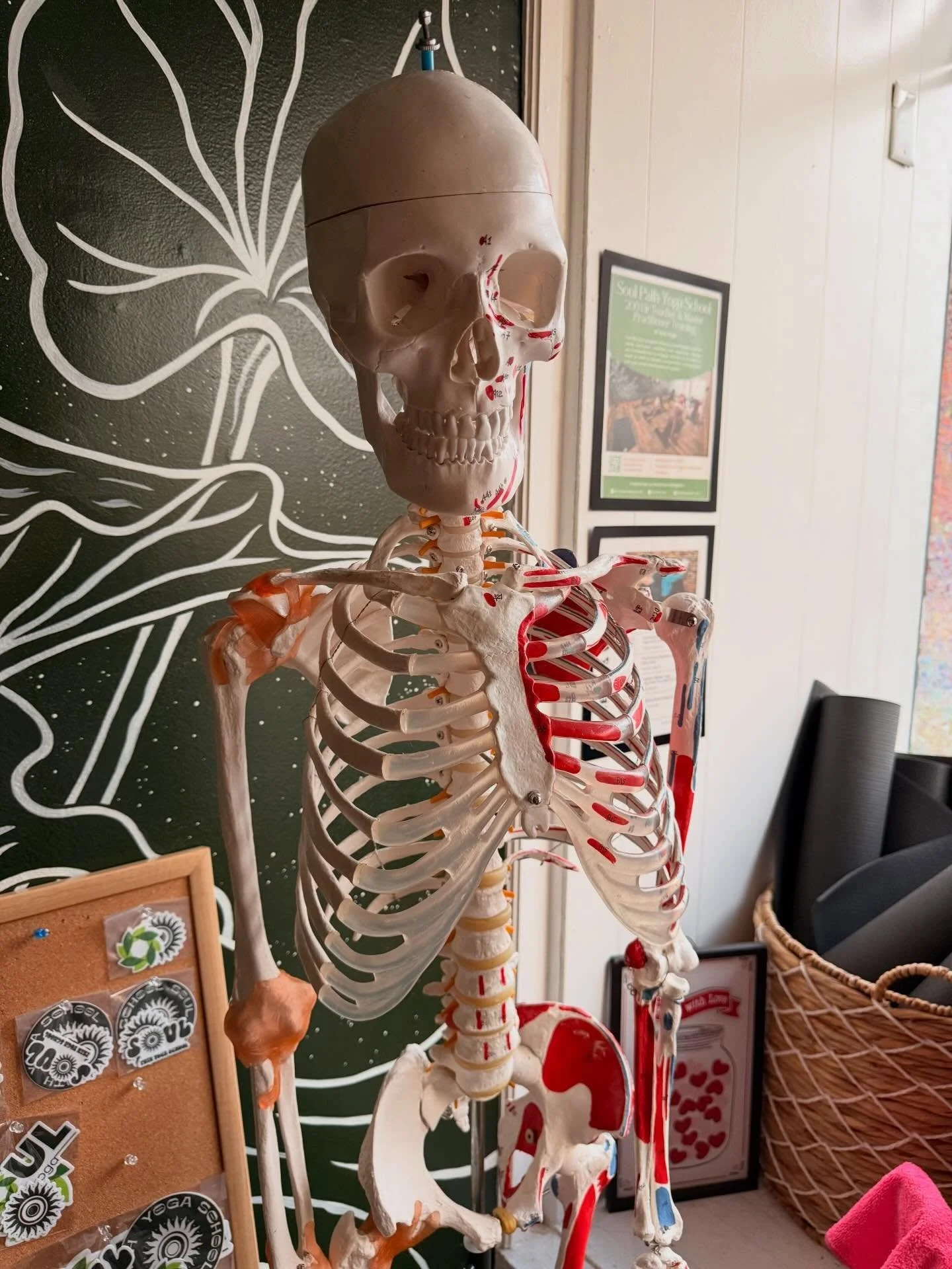 The algorithm says to post daily, but you&rsquo;re mentally exhausted and feel like you have zero creativity. 

Enjoy this photo of bones.