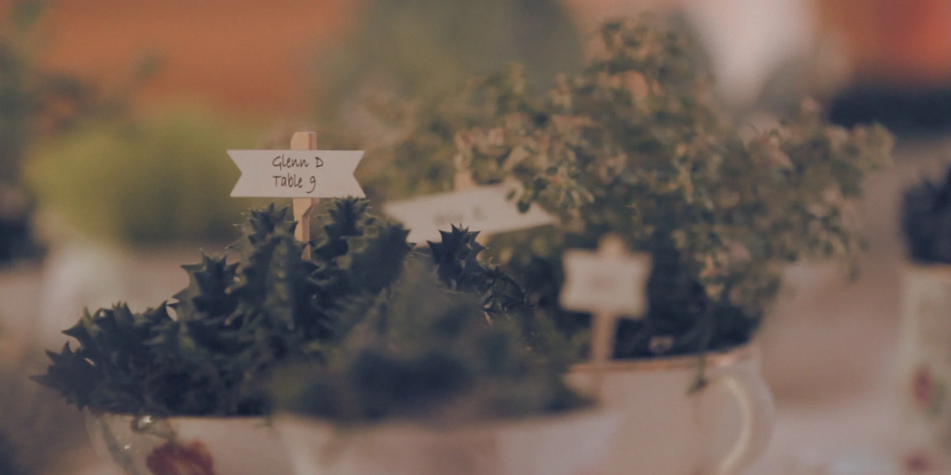 wedding favor plants tea cup jasonrjonas