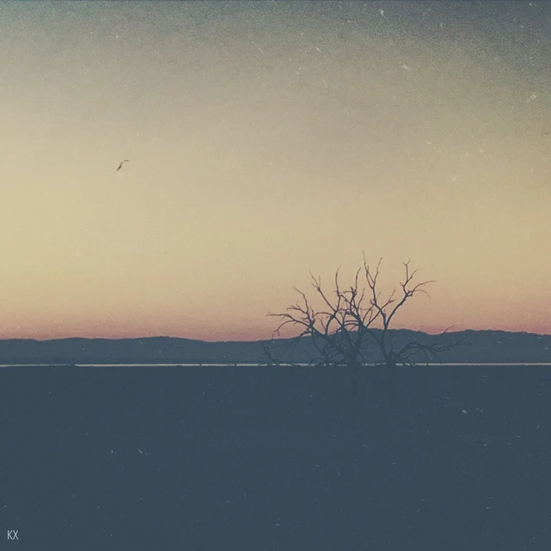 red hill marina, Salton Sea