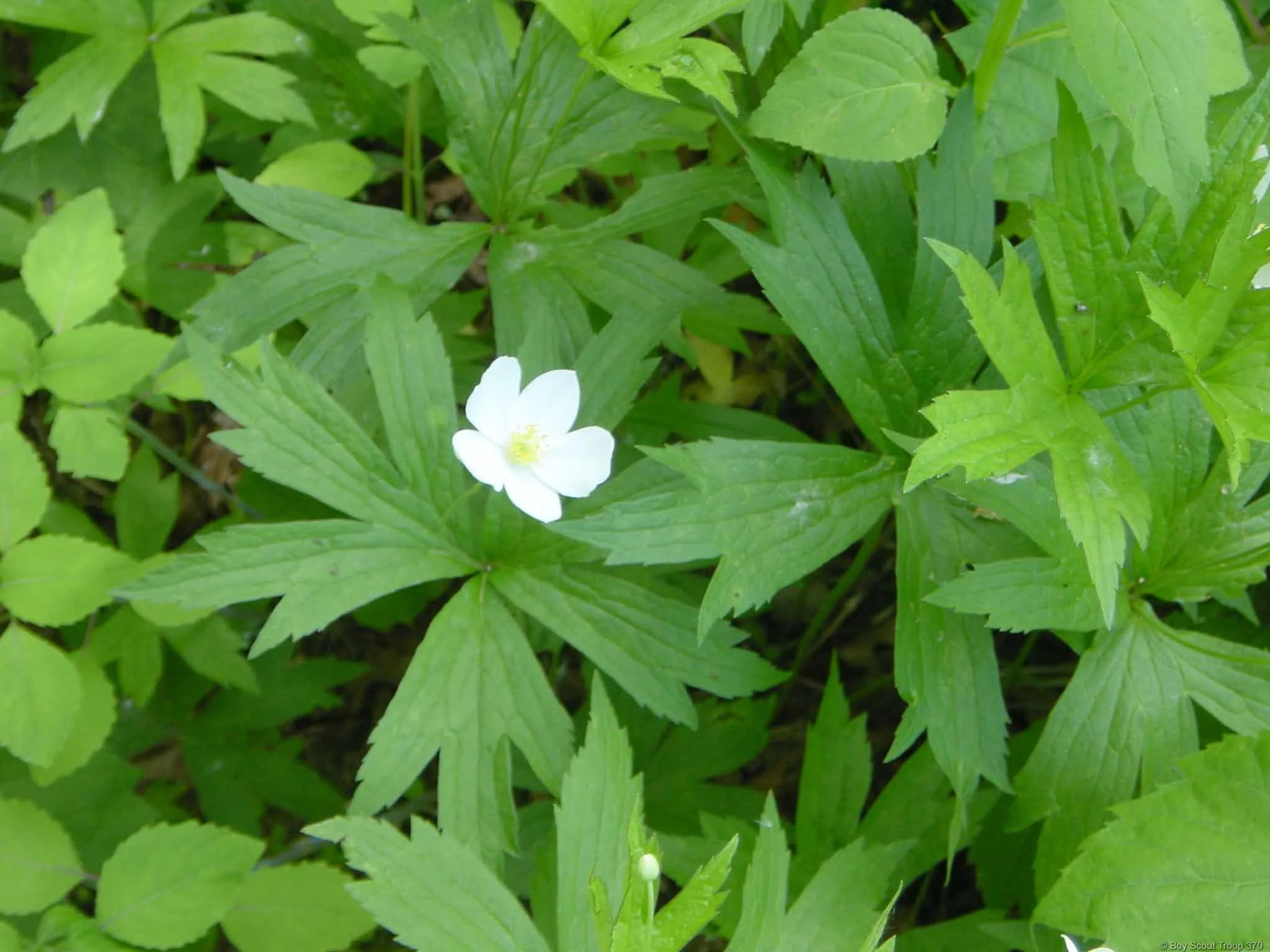 2003_root_river_016.jpg