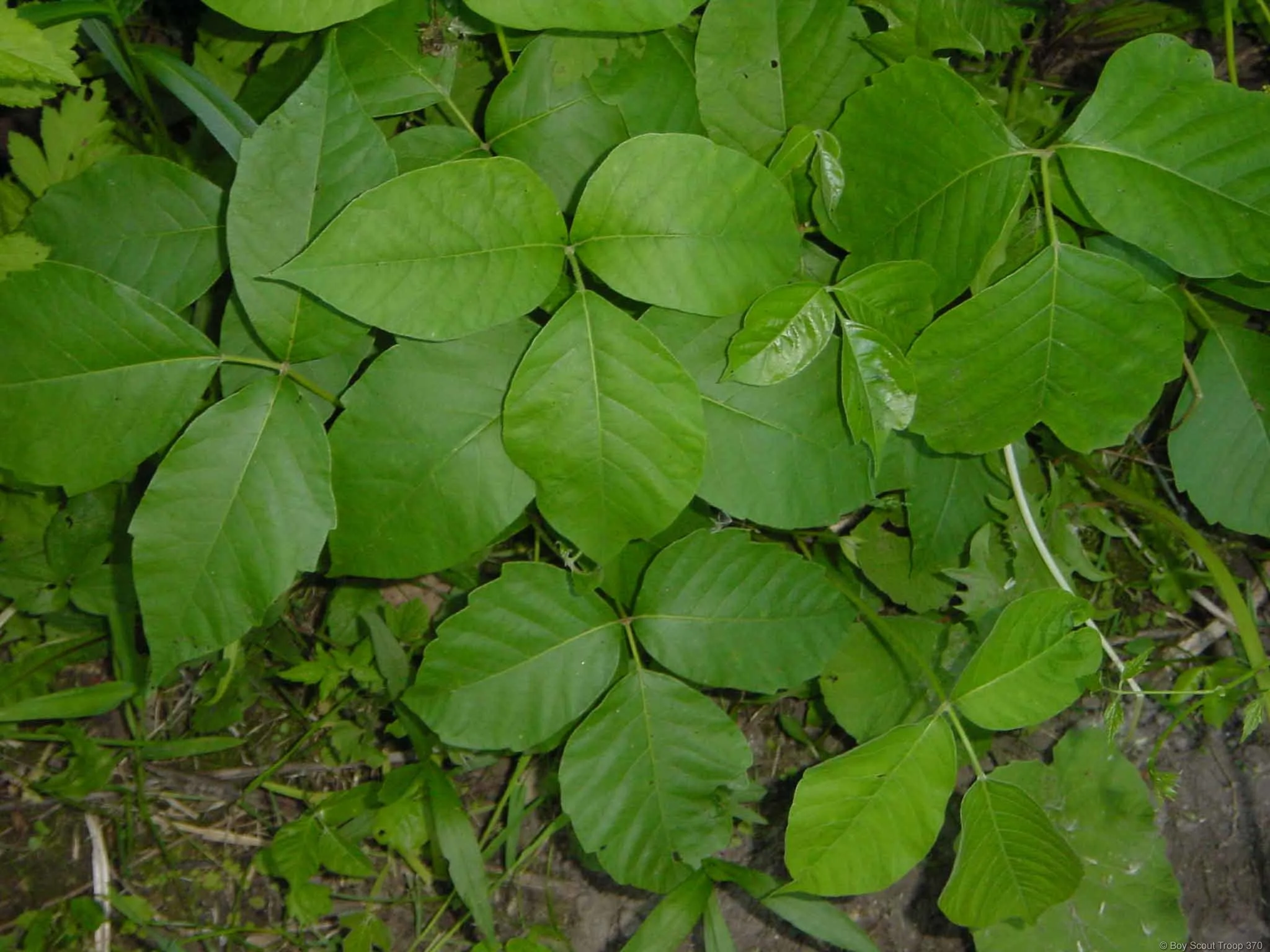 2003_root_river_022.jpg