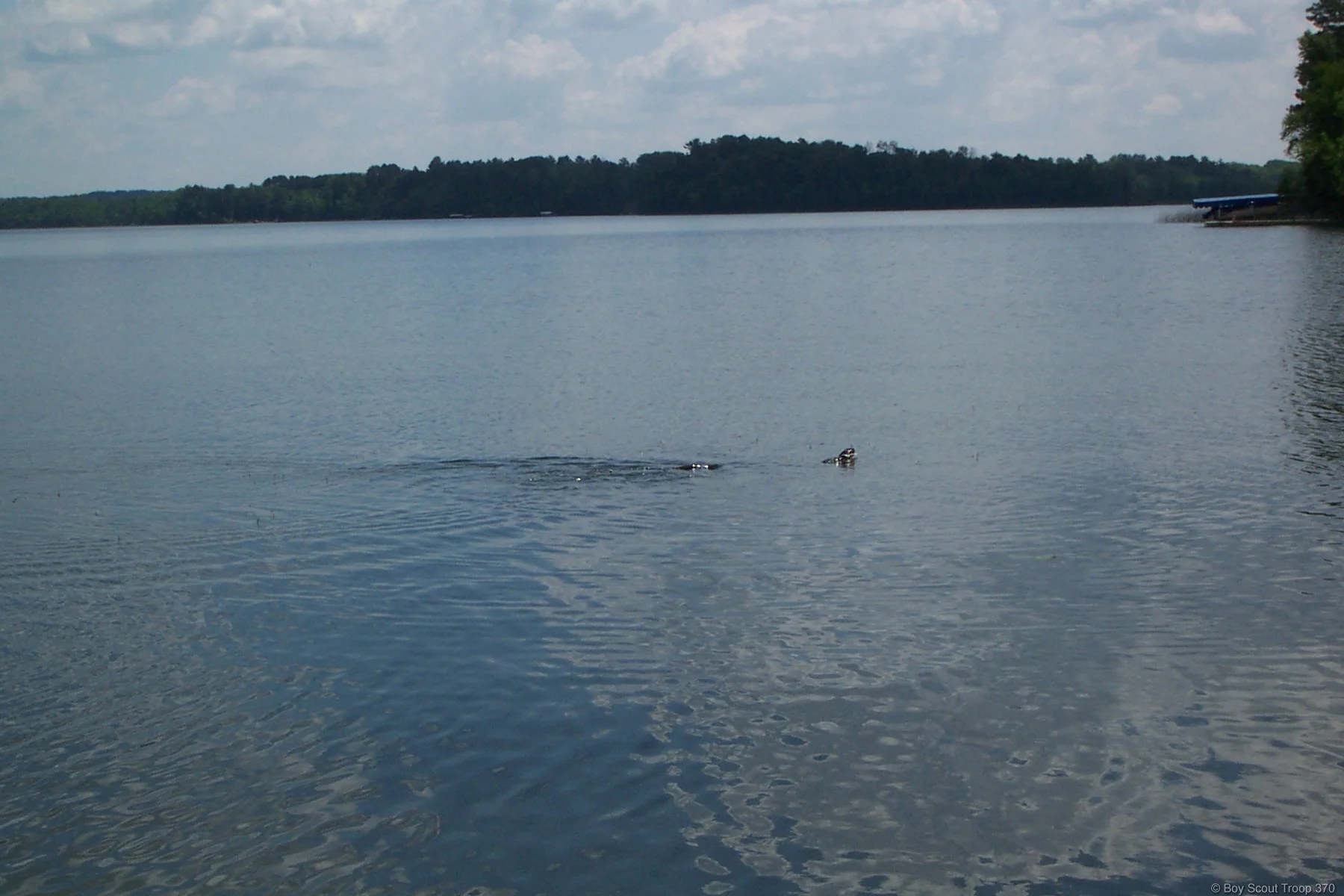 67.jpg