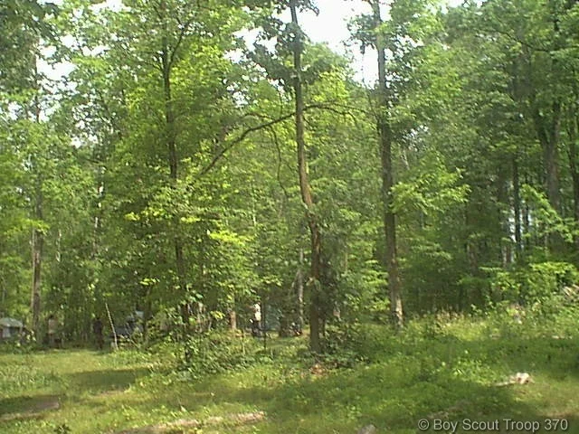 94.jpg