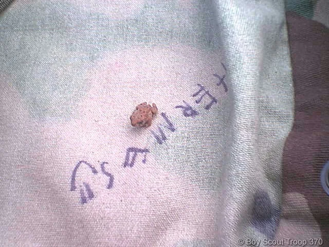 118.jpg