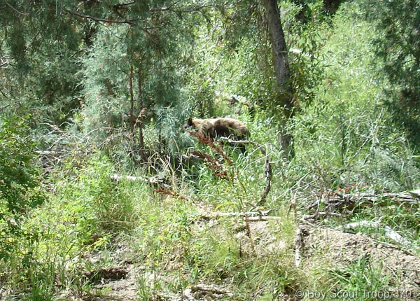 2005_Philmont_041.jpg