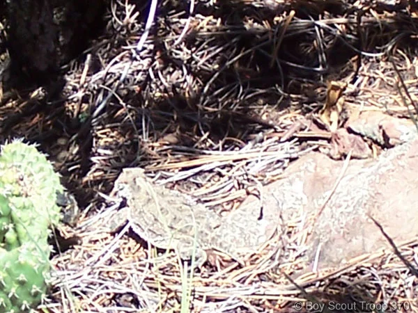 2005_Philmont_087.jpg
