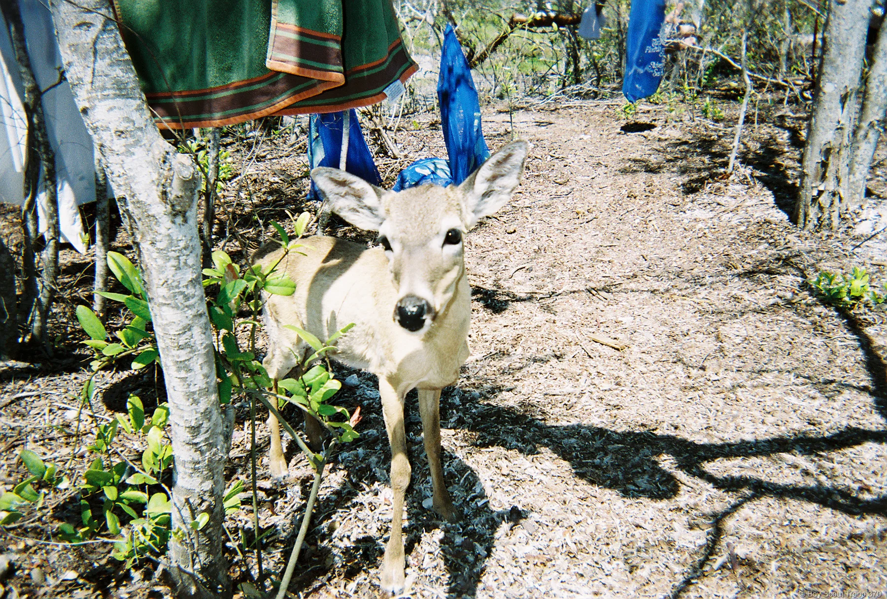 FH000022.jpg