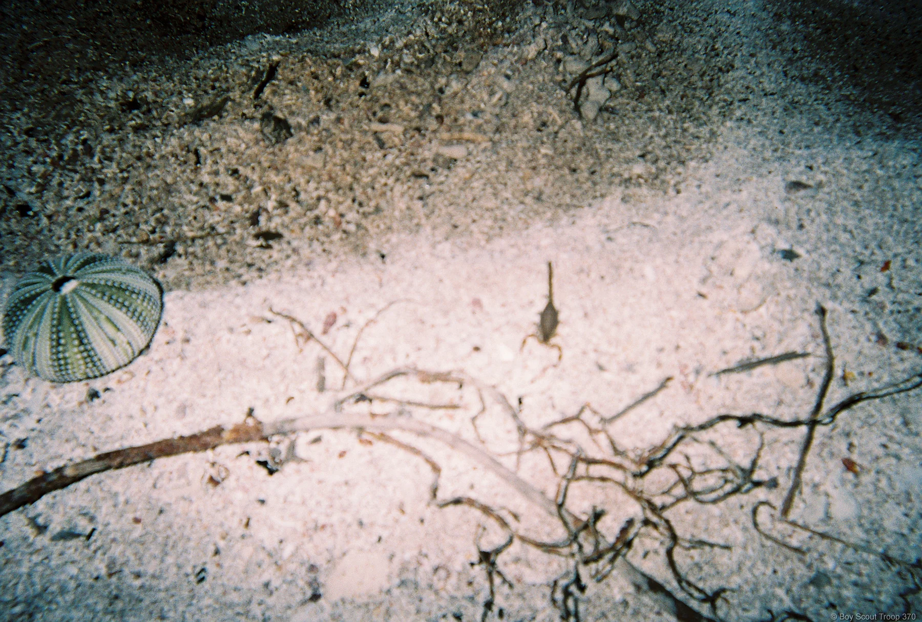 FH000002.jpg