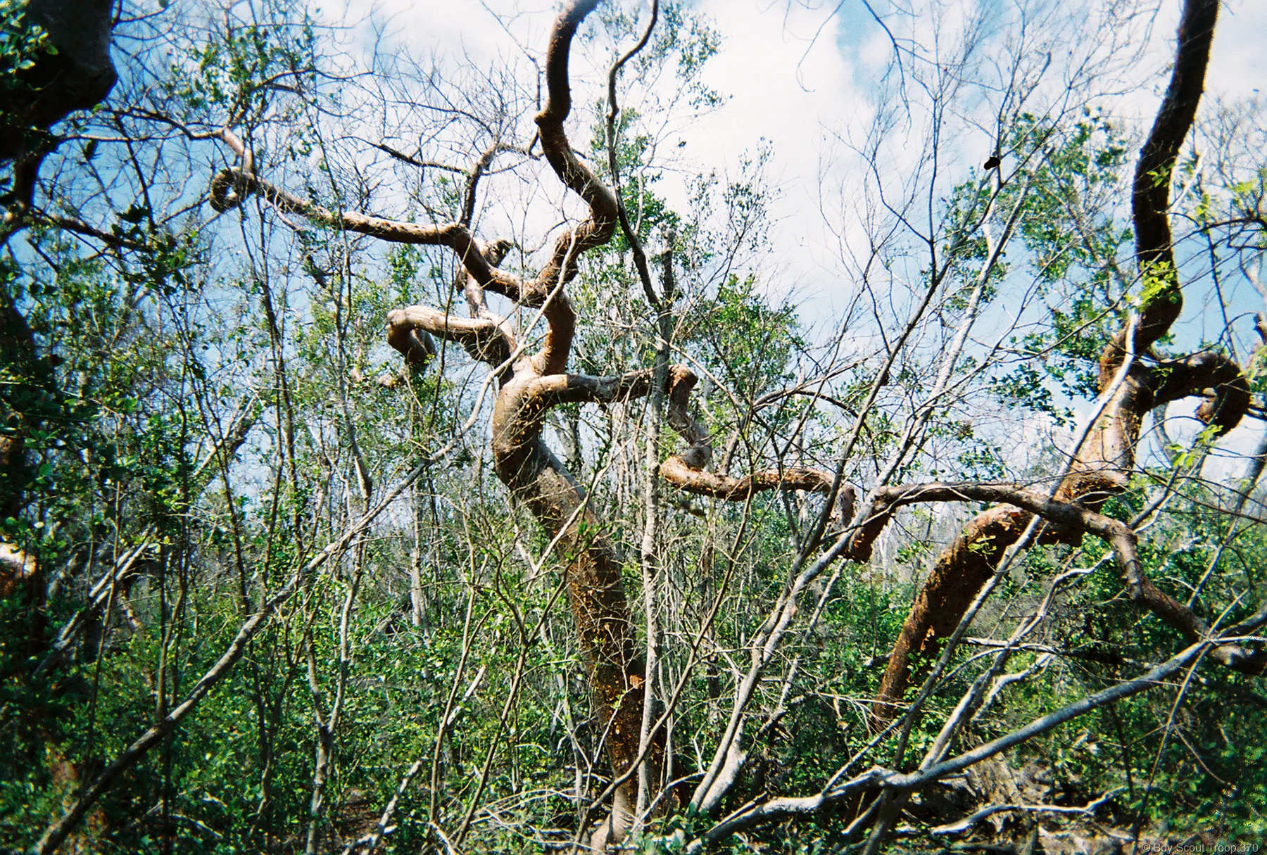 FH000007.jpg