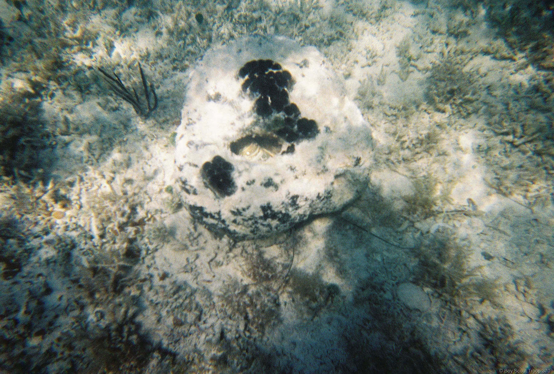 FH000013.jpg
