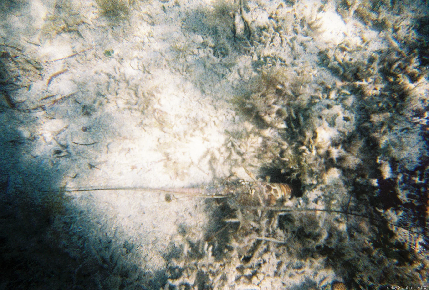 FH000014.jpg