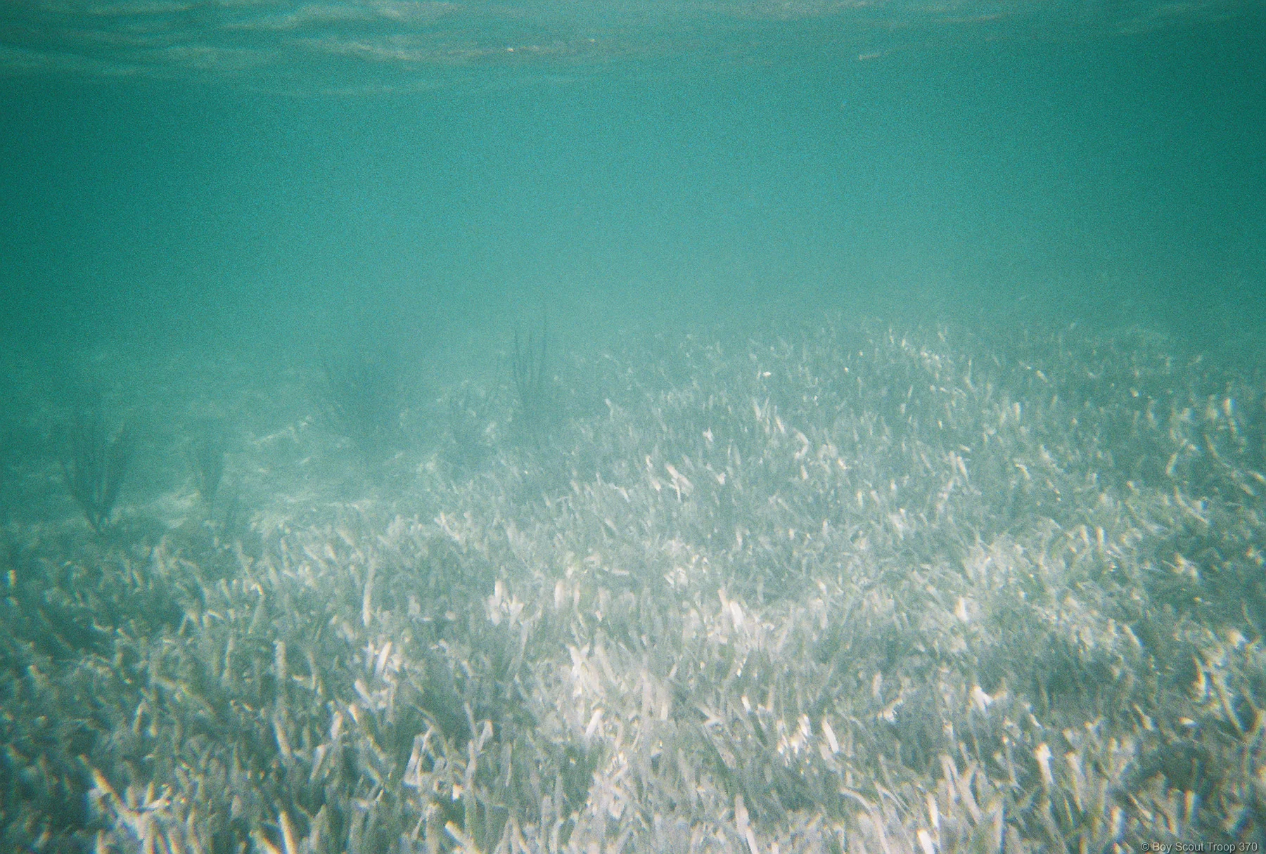 FH000015.jpg
