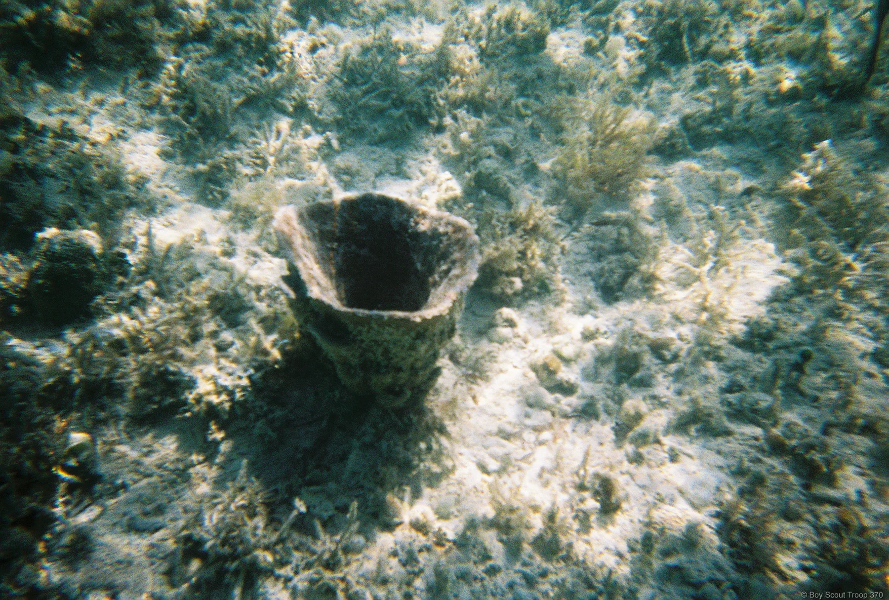 FH000017.jpg