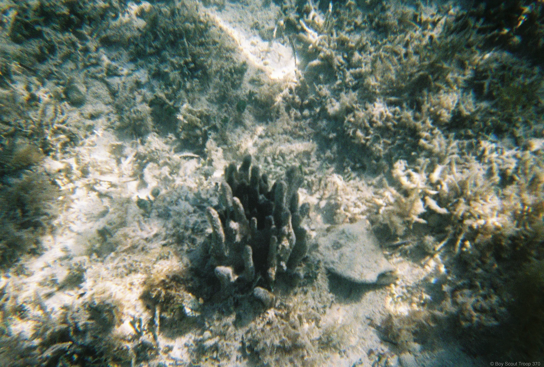 FH000020.jpg