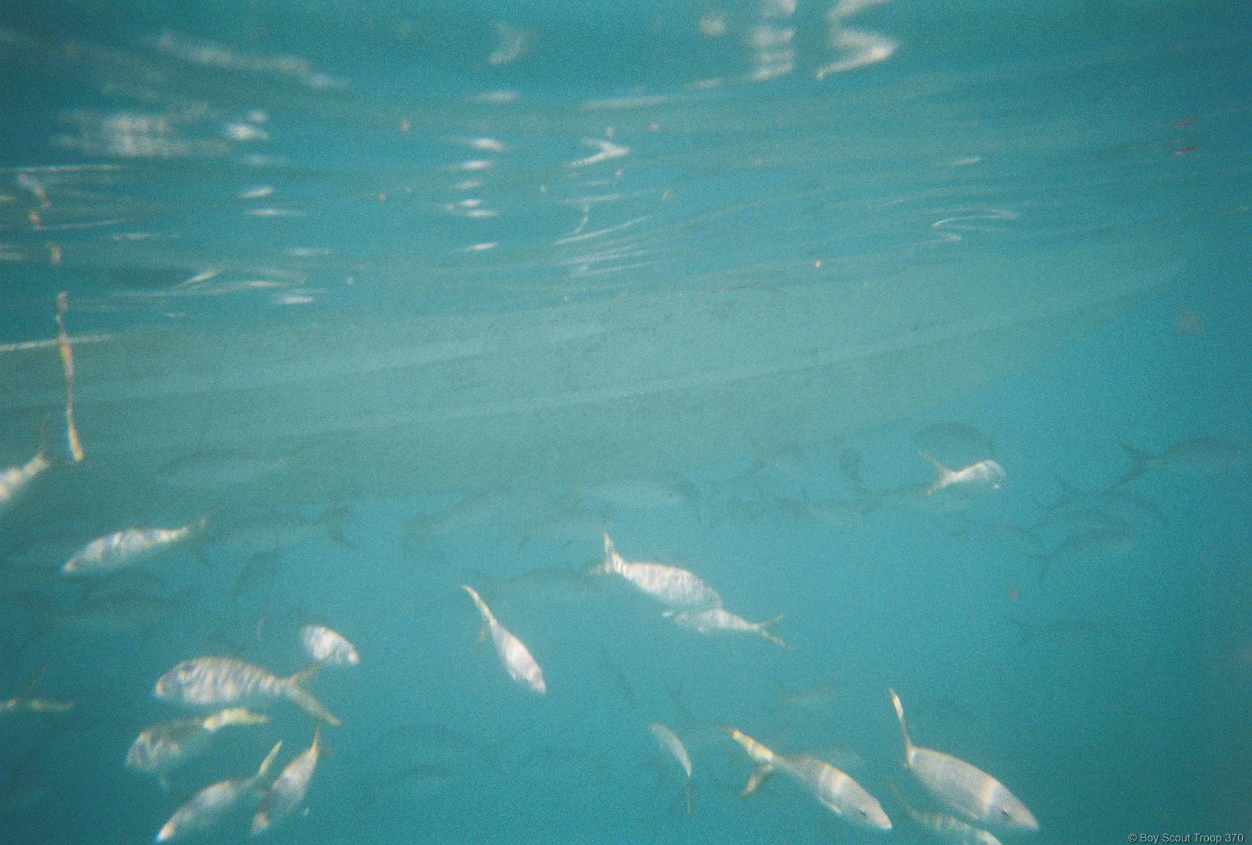 FH000023.jpg