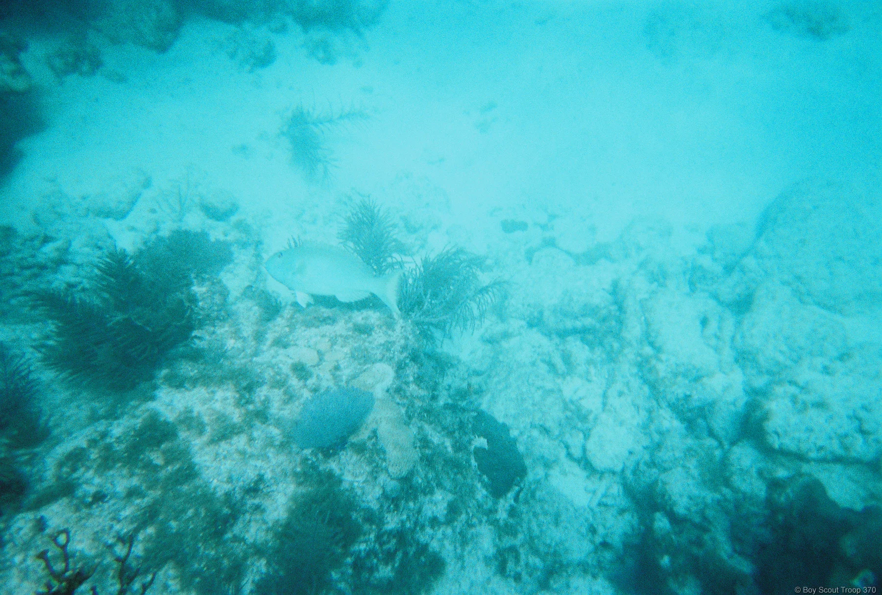 FH000024.jpg