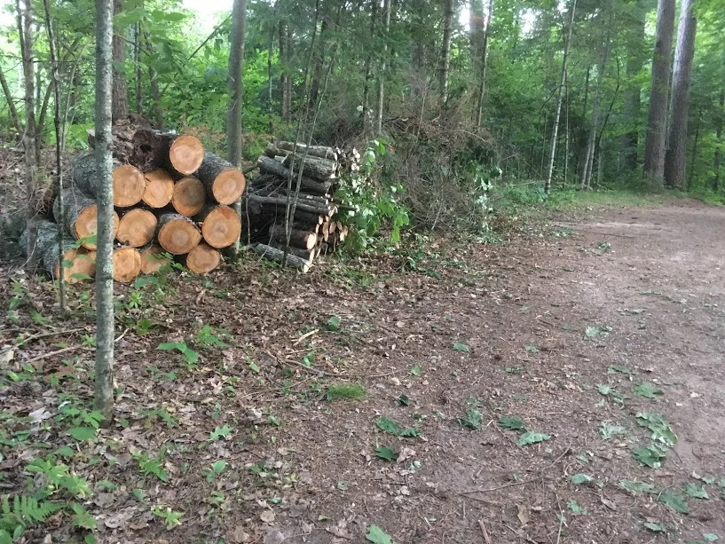 Larry and Tony's handiwork clearing storm damage from last yeaar