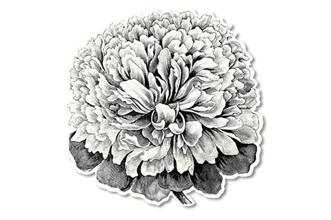 Placemat 1.jpg
