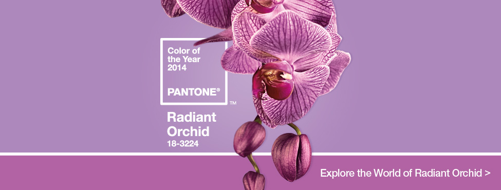radiant_orchid_HomeSlider_Final.jpg
