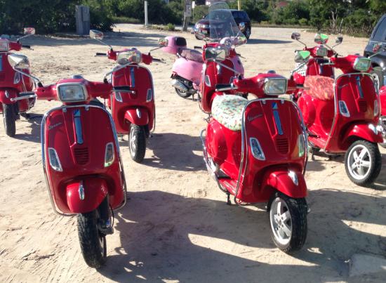 paradise-scooters.jpg
