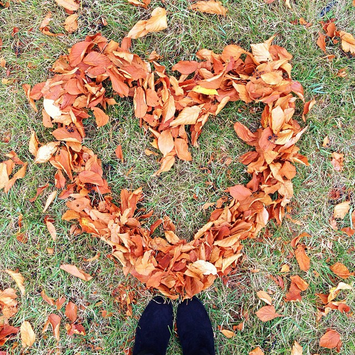 love fall