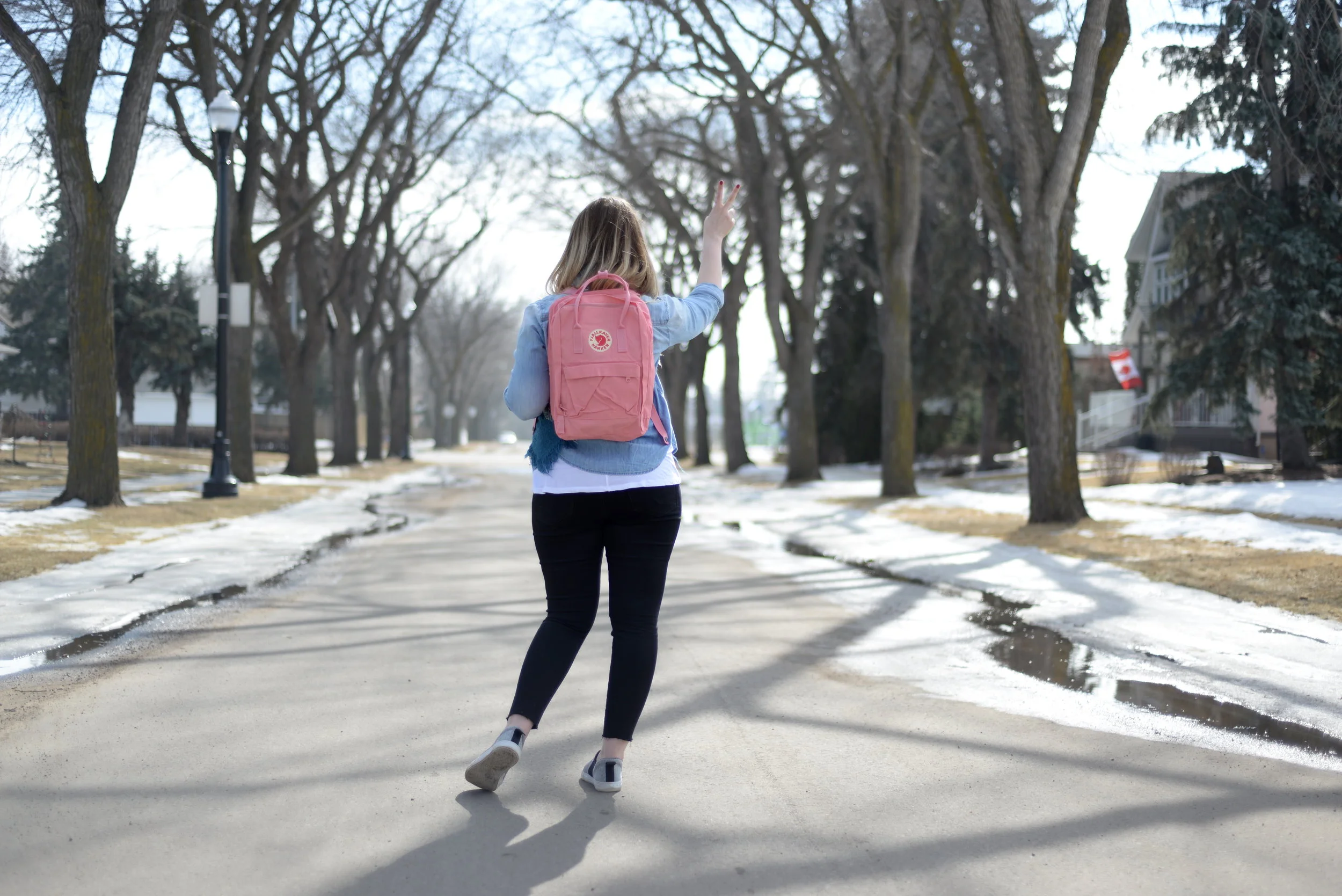 kanken backpack edmonton