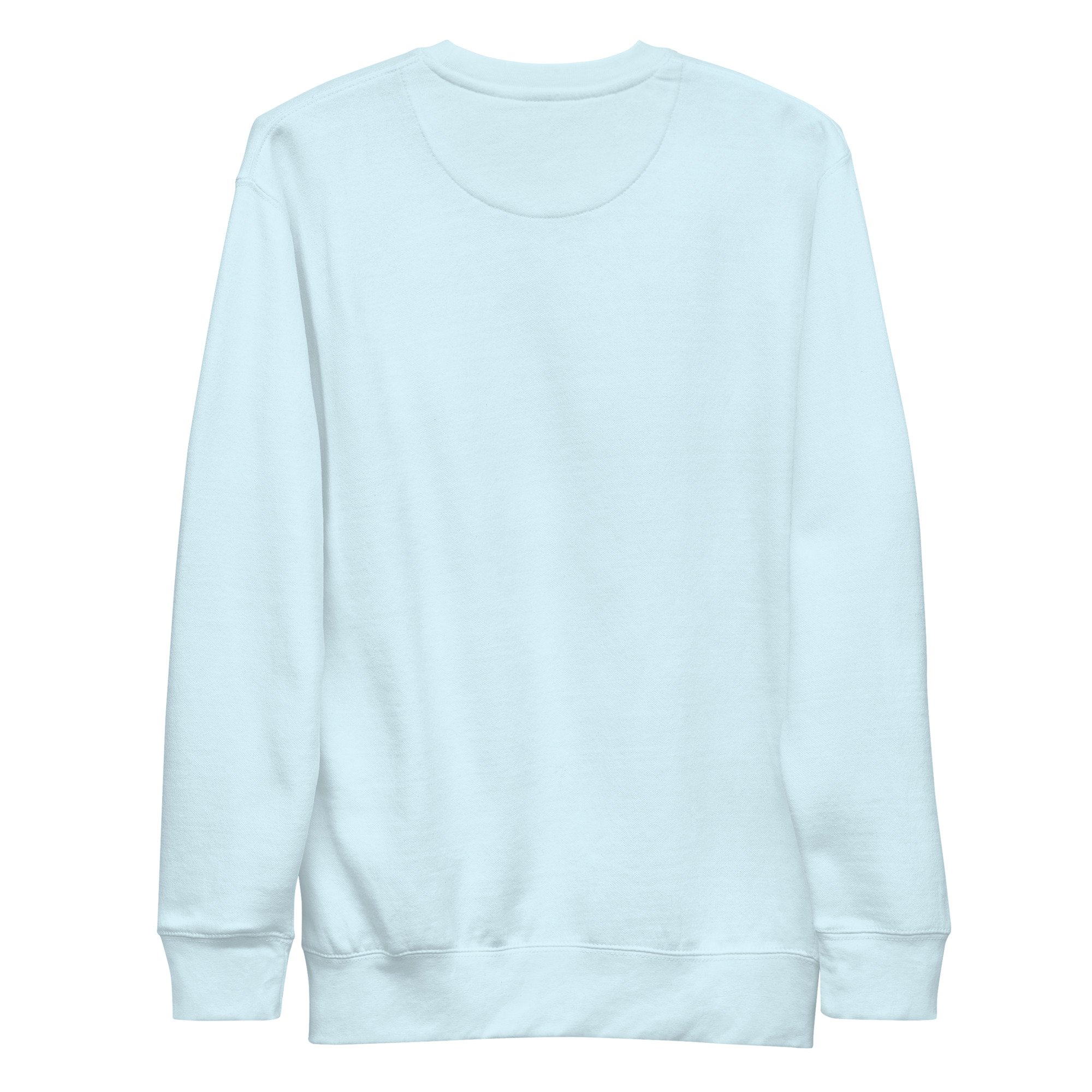 unisex-premium-sweatshirt-sky-blue-back-6a25f12c8a504.jpg