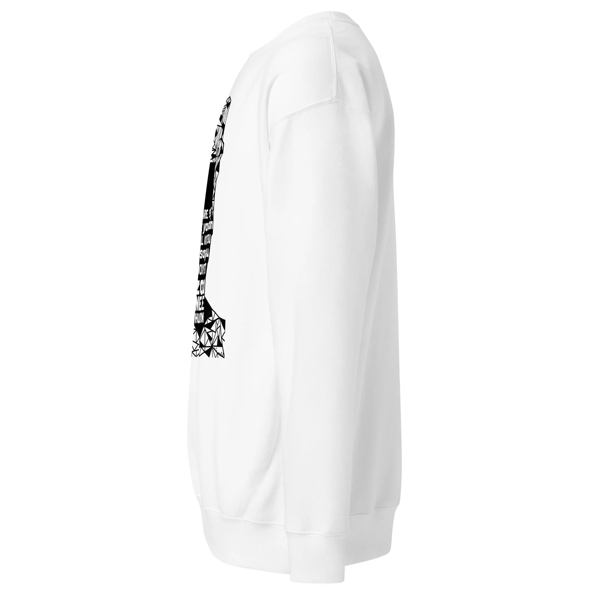 unisex-premium-sweatshirt-white-left-6a25ffd995257.jpg