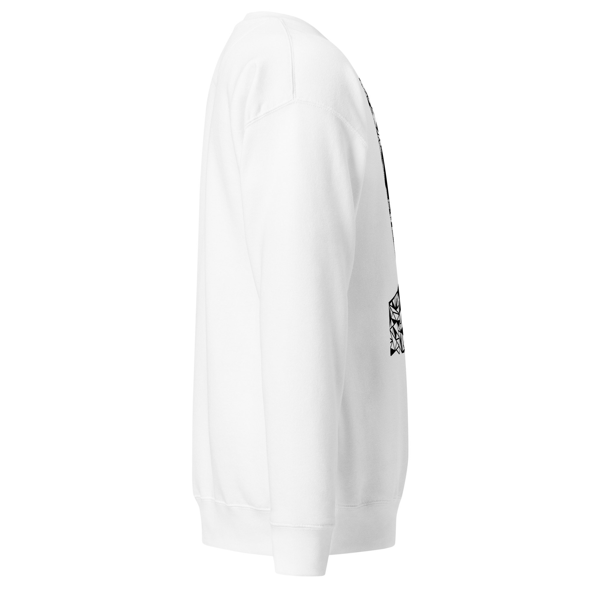 unisex-premium-sweatshirt-white-right-6a25ffd996ca4.jpg