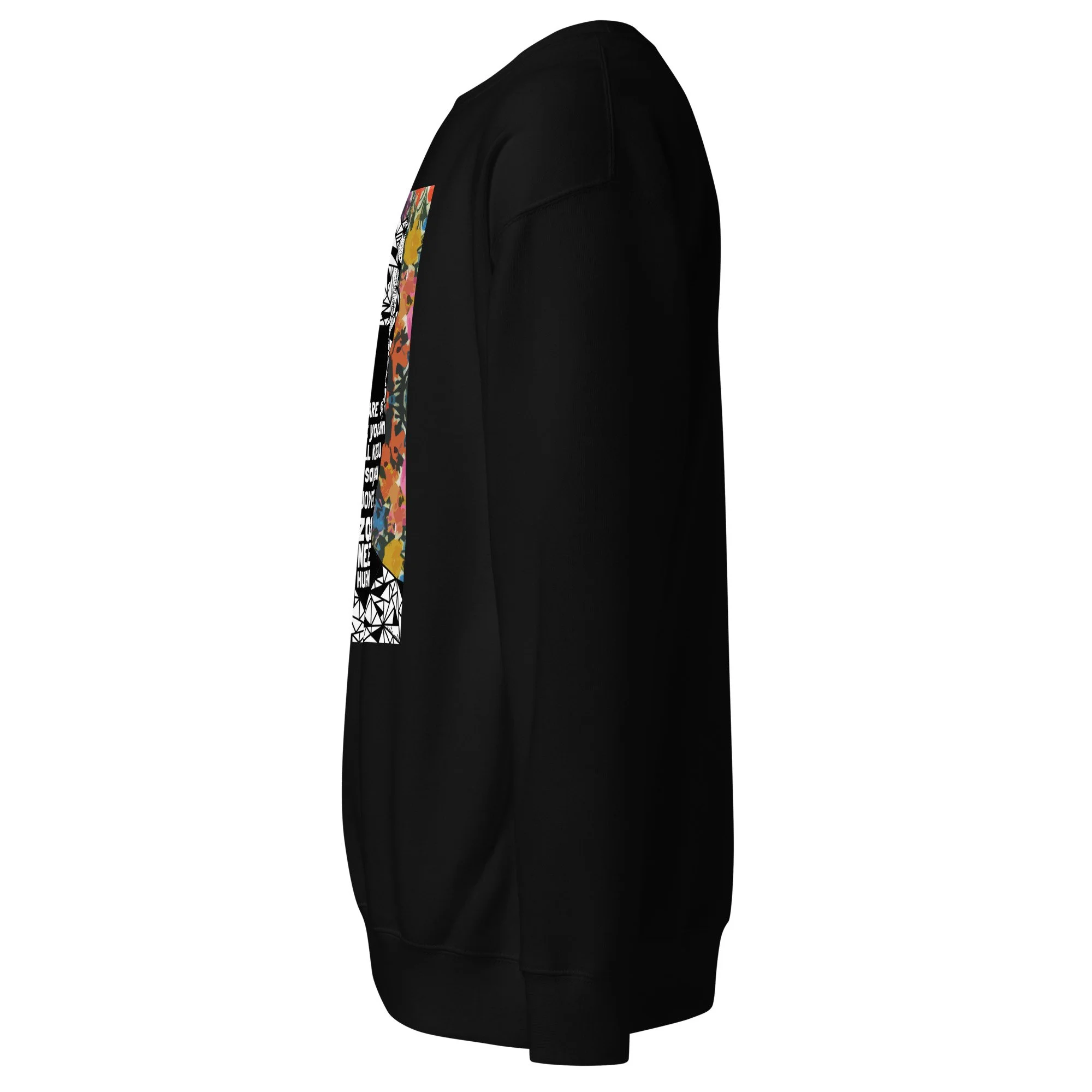 unisex-premium-sweatshirt-black-left-6a29e0191144e.jpg