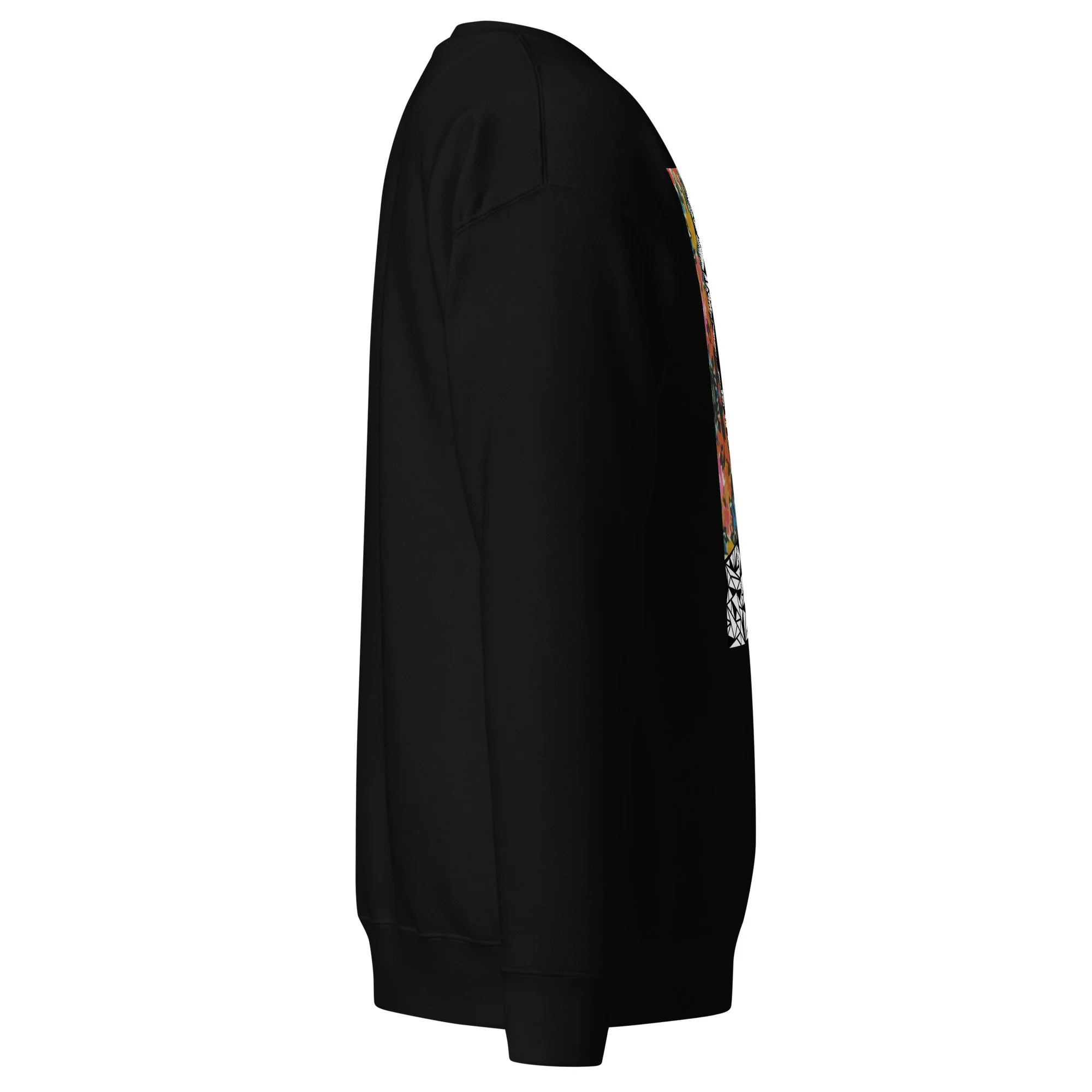 unisex-premium-sweatshirt-black-right-6a29e01911fe4.jpg