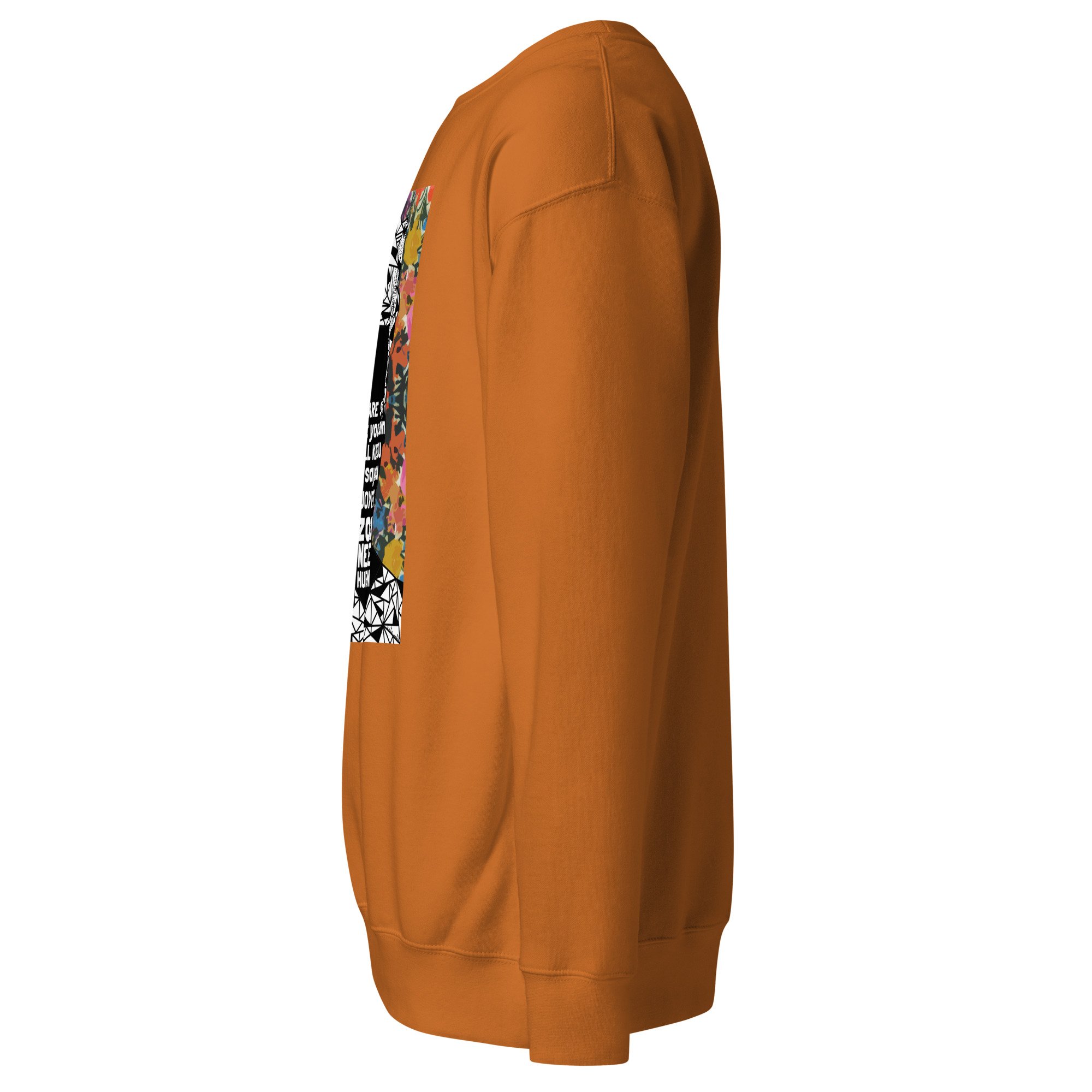 unisex-premium-sweatshirt-adobe-left-6a29e019117d4.jpg
